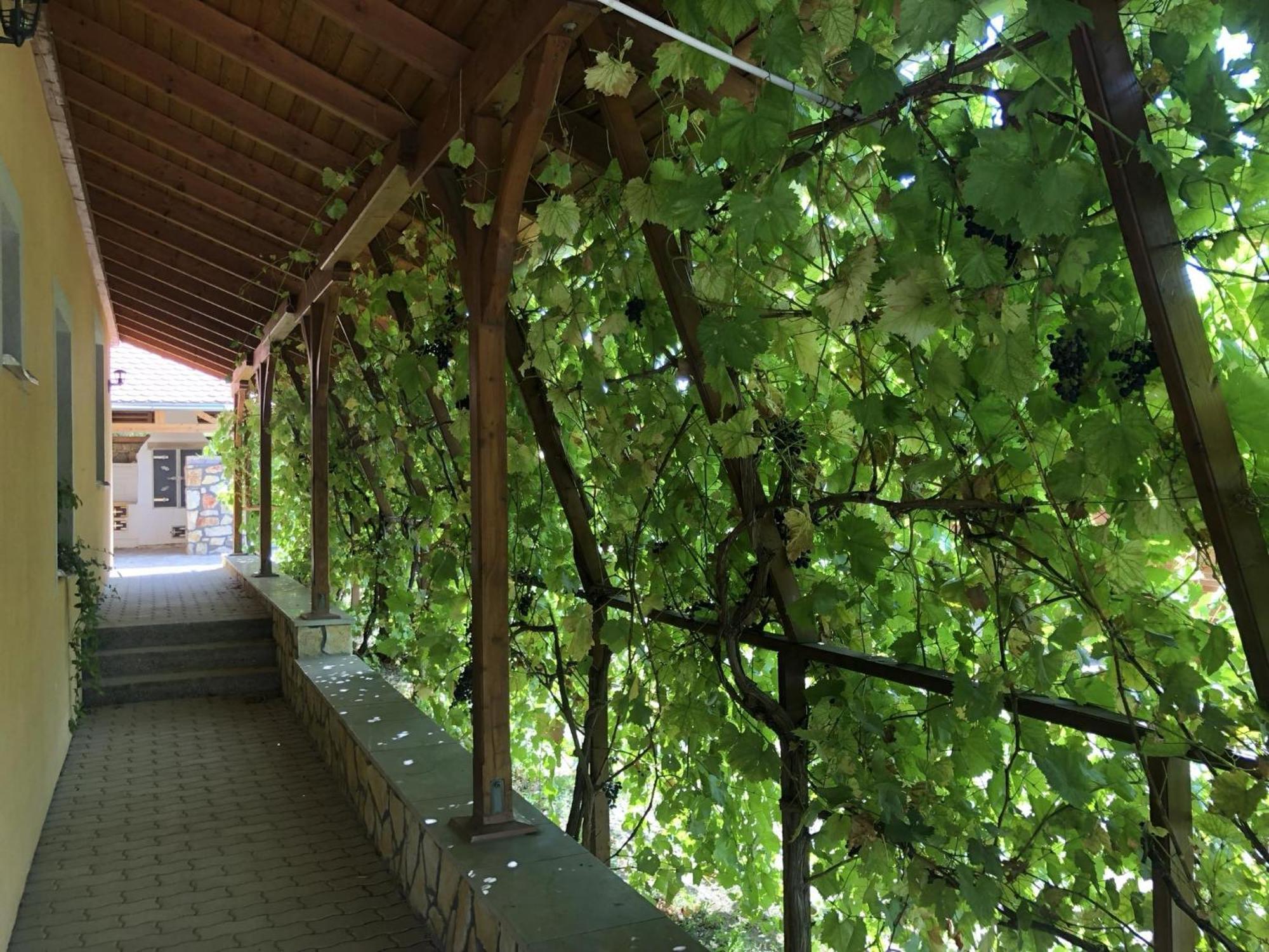 Tiszafa Vendégház Szentgal Exterior foto