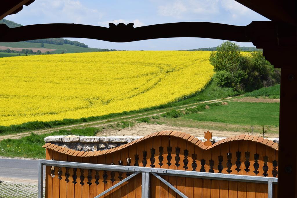 Tiszafa Vendégház Szentgal Exterior foto